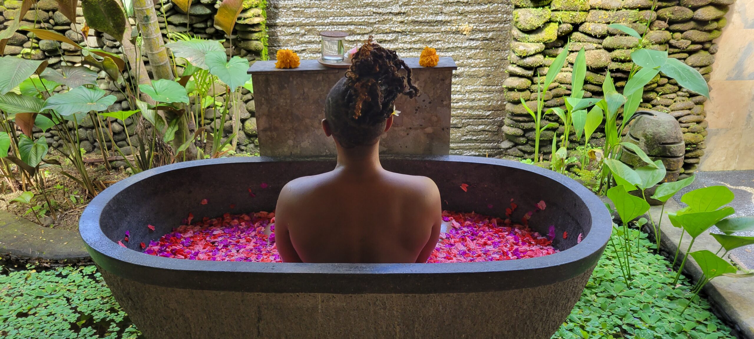 Happy New Year, 2023!